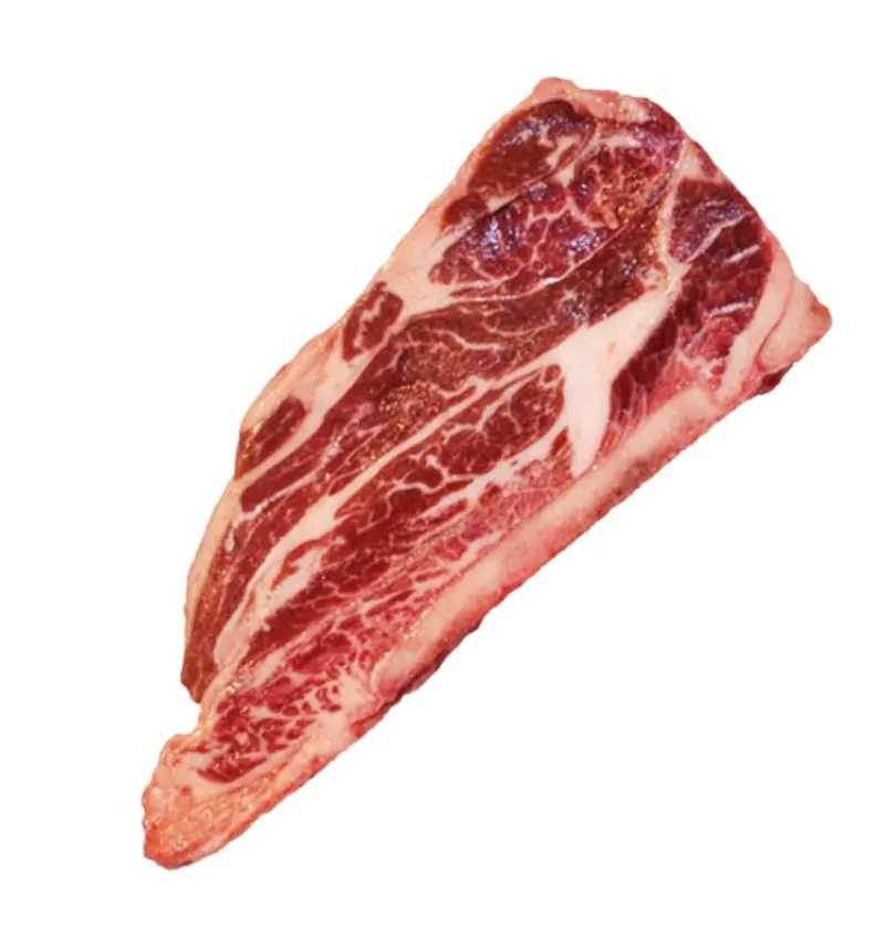 AGUJA NORTEÑA (2) RANCHO EL 17